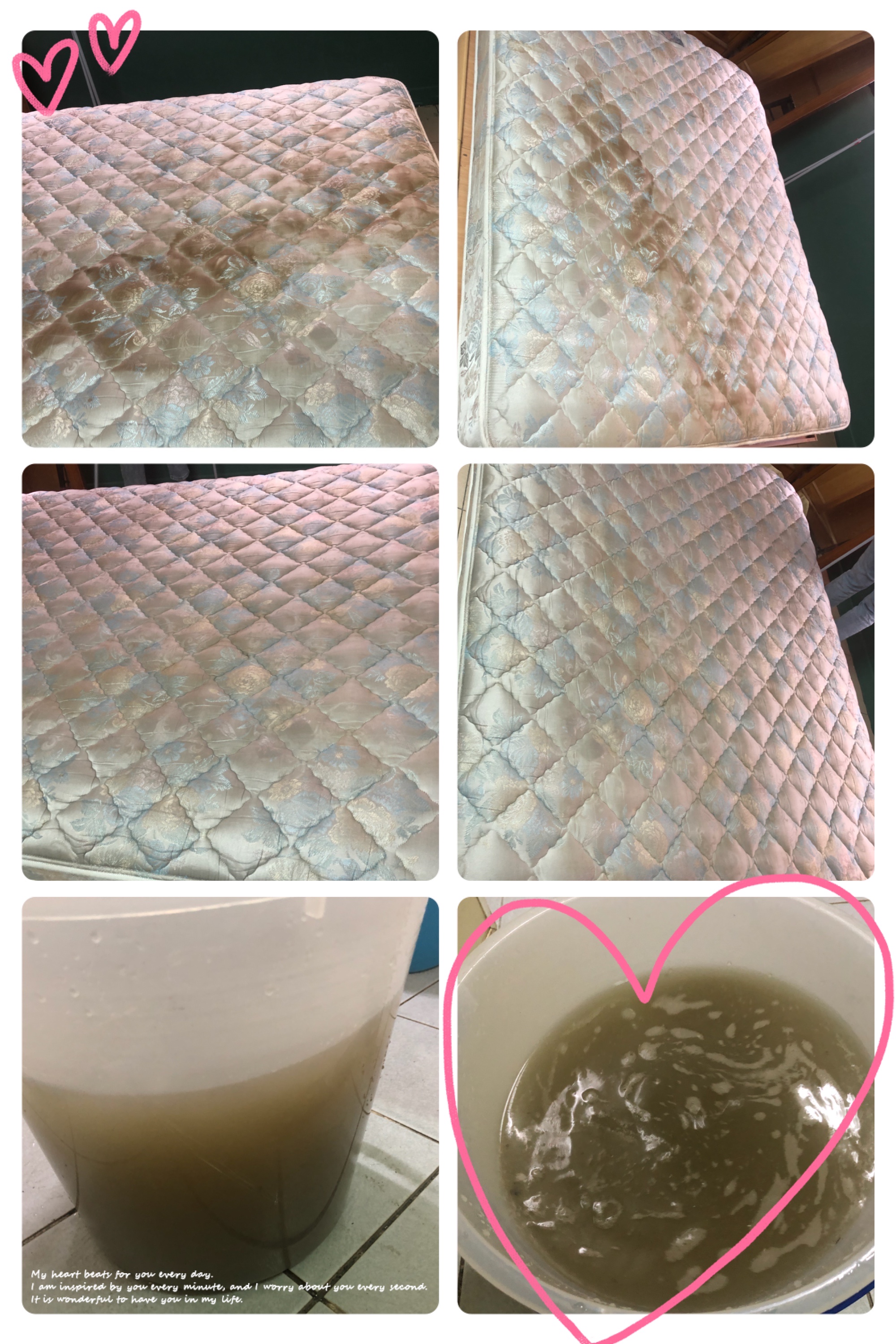 床墊血漬黴菌清洗前後對比